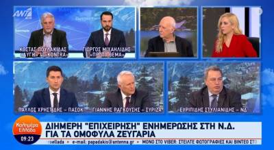 Στυλιανίδης για γάμο ομόφυλων ζευγαριών: Το νομοσχέδιο πλήττει την αξία που έχει κρατήσει όρθια την Ελλάδα (Βίντεο)