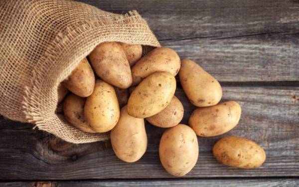 Μειωμένη η παραγωγή και η τιμή στην πατάτα