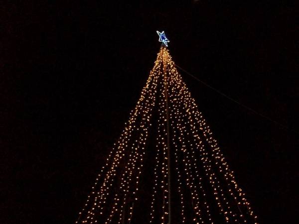 Φωταγώγηση χριστουγεννιάτικου δέντρου στη Μεσσήνη