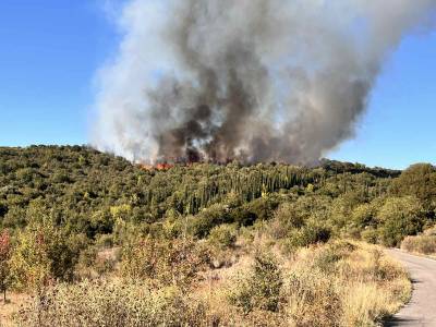 Μεσσηνία: Κάηκαν πάνω από 130 στρέμματα σε Αυλώνα και Μηλίτσα
