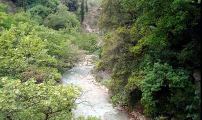 Η ΟΝΝΕΔ Τριφυλίας καθαρίζει τη Νέδα