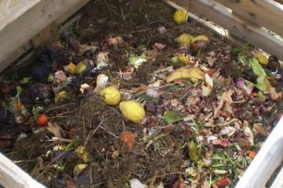 Ενισχύεται το δίκτυο οικιακής κομποστοποίησης
