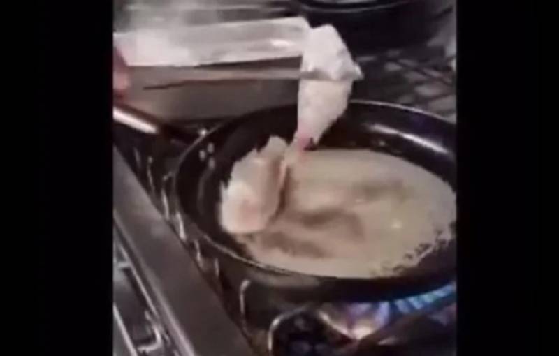 Κάρπαθος: Εστιατόριο τηγανίζει τα ψάρια ζωντανά - Το βίντεο που προκάλεσε σφοδρές αντιδράσεις