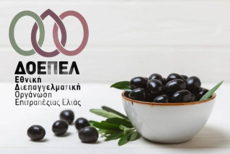 Ελαφρώς μειωμένη η παραγωγή πράσινων επιτραπέζιων ελιών