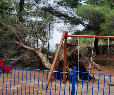 Μεσσηνία: Προβλήματα και σε χωριά της Δημοτικής Ενότητας Αυλώνας από την κακοκαιρία (βίντεο-φωτογραφίες)
