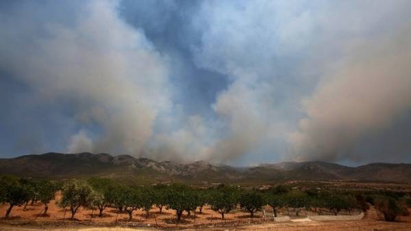Πυρκαγιά σε δασική έκταση στην Κακιά Θάλασσα Κερατέας