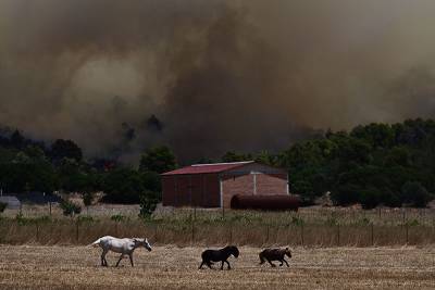Γ. Λέναρσιτς: Βιώνουμε ένα κύμα καύσωνα σε ολόκληρη τη Ν. Ευρώπη που προκαλεί ήδη καταστροφικές συνέπειες στην Ελλάδα