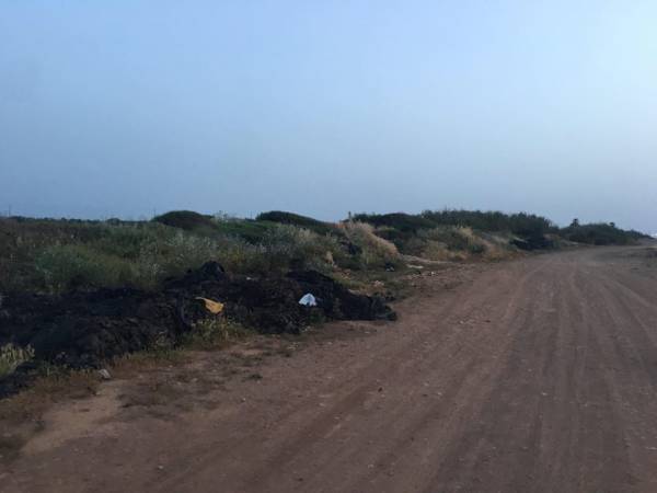 Δήμος Τριφυλίας: Συστάσεις για απόβλητα καλλιεργειών