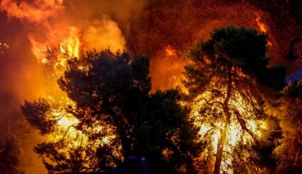 Η κερδοσκοπία υπεύθυνη για τις πυρκαγιές σύμφωνα με την ΑΝΤΑΡΣΥΑ
