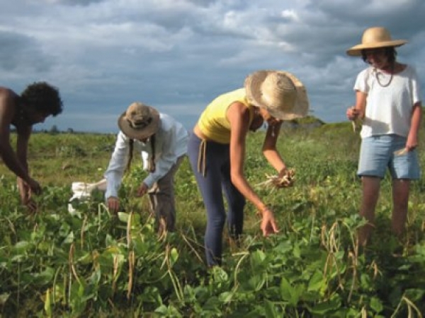 Από τον οργανισμό "Δήμητρα": Προγράμματα γεωργικής επαγγελματικής κατάρτισης