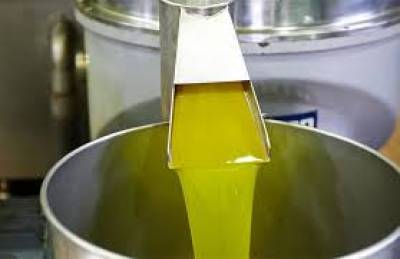 Αναμένουν μειωμένη παραγωγή ελαιόλαδου στην Ισπανία