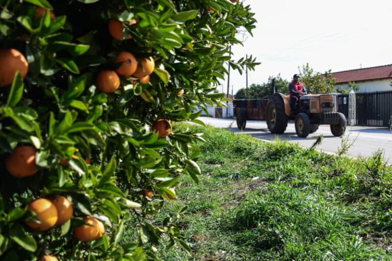 Τσιάρας: Οι ενισχύσεις του ΟΠΕΚΕΠΕ θα καταβληθούν κανονικά