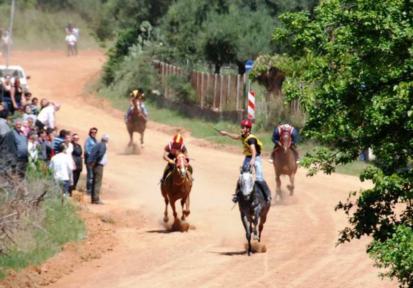 Αύριο οι ιπποδρομίες στο Πλατύ