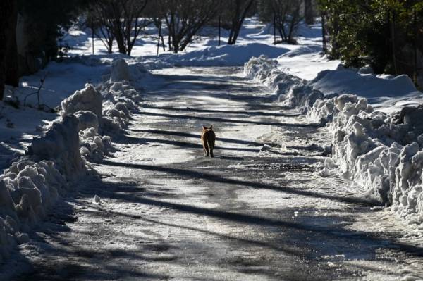 Σχεδόν διπλάσια η χιονόπτωση το 2008, αλλά τότε οι δρόμοι έμειναν ανοιχτοί!