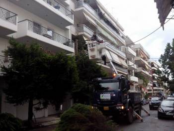 Καλαμάτα: Εκοψαν δένδρα επικίνδυνα για τα καλώδια της ΔΕΗ (βίντεο)