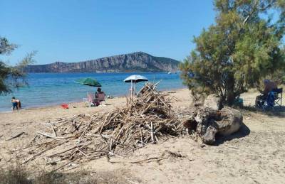 Παραμένουν τα καλάμια στο Ντιβάρι