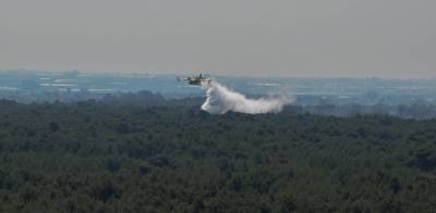 Σε ύφεση η μεγάλη φωτιά στο Χρυσοβίτσι Αρκαδίας