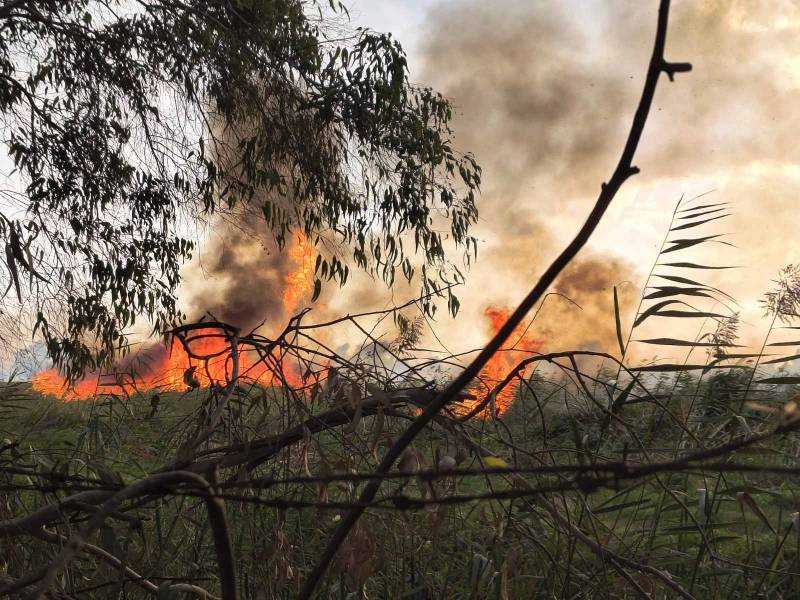 Καλαμάτα: Πυρκαγιά σε έκταση με καλάμια στον Μπουρνιά (βίντεο-φωτογραφίες)