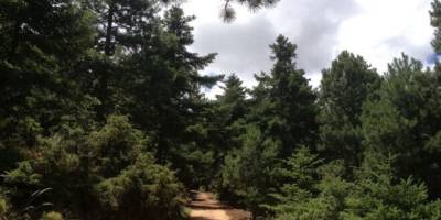 Δίκτυο 29 μονοπατιών σχεδιάζει να αναβαθμίσει ο Δήμος Καλαμάτας