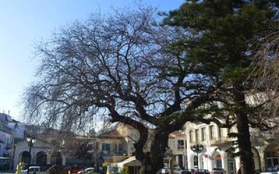 Προτάσεις για την πλατεία Τριών Ναυάρχων στην Πύλο