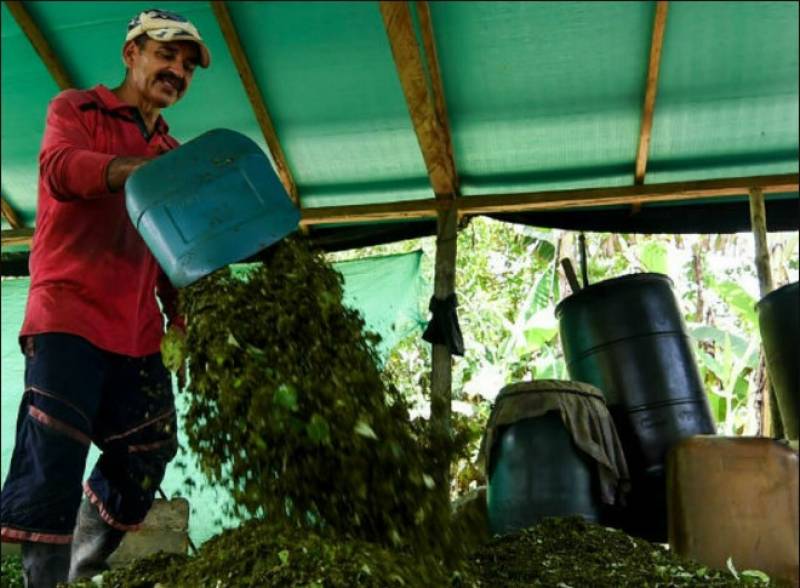 Κολομβία: Η κοκαΐνη θα ξεπεράσει το πετρέλαιο ως το πρώτο εξαγωγικό προϊόν!