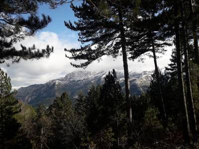 Συνάντηση για ανάταξη του ορεινού όγκου Ταϋγέτου