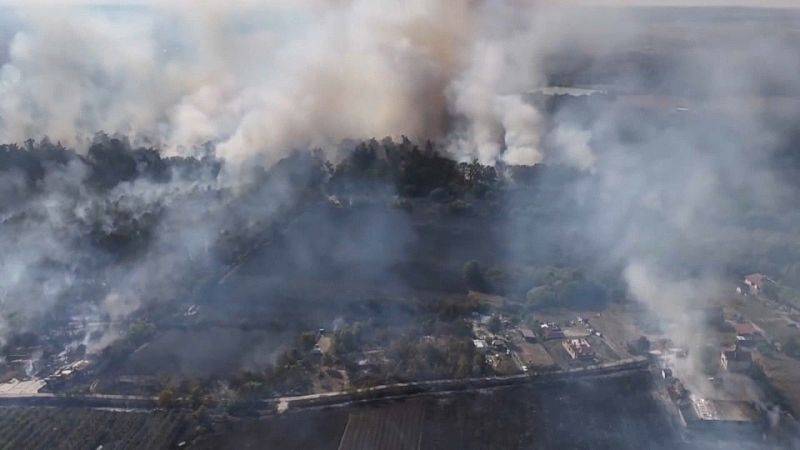 Ρουμανία: Στάχτη έγιναν εκατοντάδες στρέμματα με οπωροφόρα δέντρα