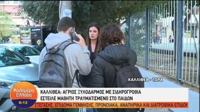 Καλλιθέα: Μαθητής δέχτηκε επίθεση μέσα στο σχολείο (Βίντεο)