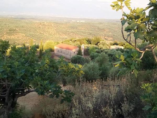 Ψηφιακή προβολή της παλιάς Αετοφωλιάς