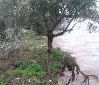 Εκτιμήσεις ΕΛΓΑ για ζημιές στην Καλαμάτα