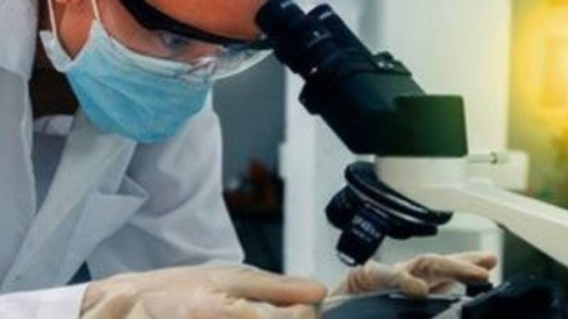 Ανθεκτικοί στα εντομοκτόνα οι κοριοί στην Ελλάδα