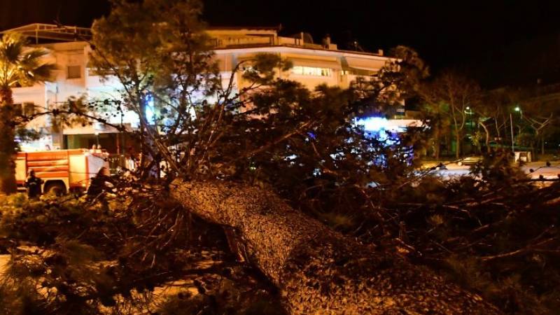Θεσσαλονίκη: Πτώσεις δένδρων εξαιτίας των δυνατών ανέμων