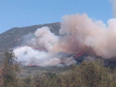 Μεσσηνία: Σύλληψη για εμπρησμό από αμέλεια για την πυρκαγιά στο Κεφαλόβρυσο Χώρας