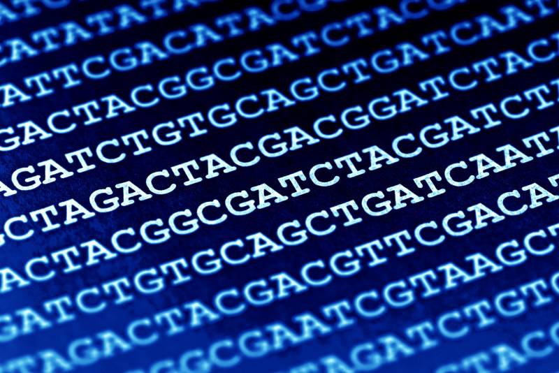 Η Google του DNA – Νέα μηχανή αναζήτησης για τη γενετική πληροφορία