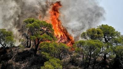 Πυρκαγιά σε αγροτοδασική έκταση στο Μαύρο Λιθάρι - Προειδοποιητικό μήνυμα του 112 προς τους κατοίκους της Σαρωνίδας (βίντεο)
