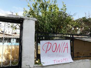 Σκότωσαν σκυλίτσα στην Αγία Τριάδα