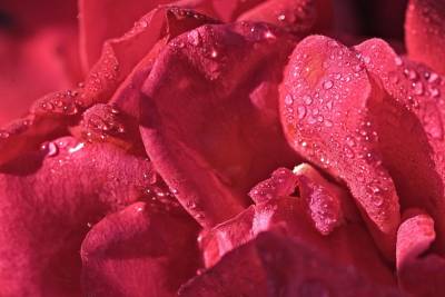 Αστρολογία – 05/09/2023