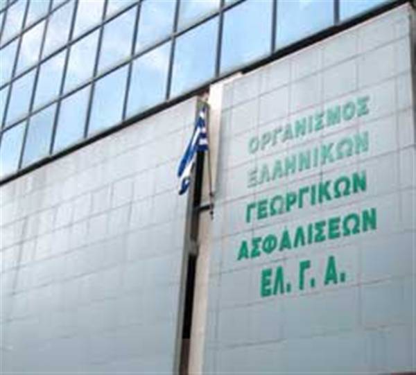 Πορίσματα του ΕΛΓΑ για ζημιές σε Σπερχογεία και Αντικάλαμο 