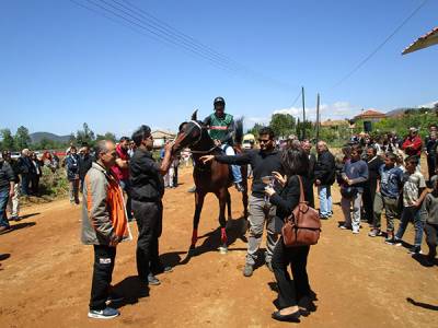 Ιπποδρομίες στο Πλατύ: Ο ίππος “Αθήρ Ντουμπάι” ο μεγάλος νικητής (βίντεο - φωτό)