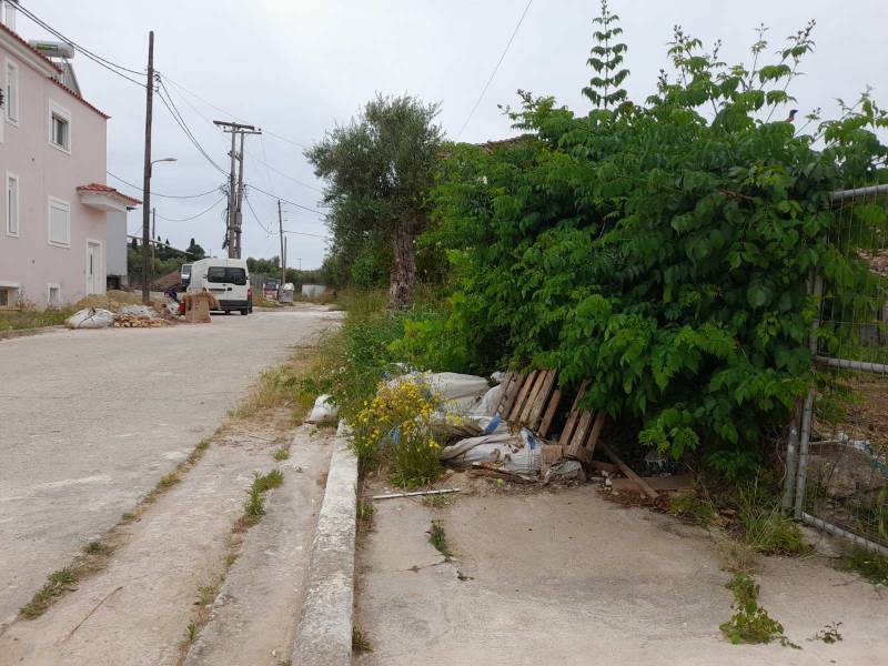 Ο Κώστας Μαλιώτης για τον καθαρισμό στη Νέα Κορώνη