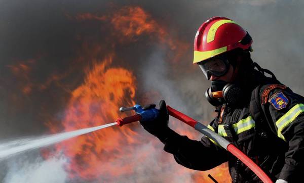 Προσελήφθησαν 24 πυροφύλακες στο Δήμο Πύλου - Νέστορος