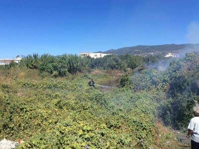 Πυρκαγιά σε οικόπεδο στη Νέα Είσοδο Καλαμάτας