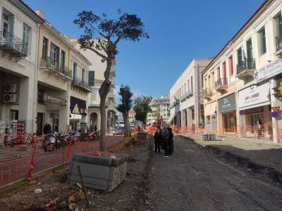 Δεν φταίνε οι φίκοι, αλλά οι κουτσουλιές