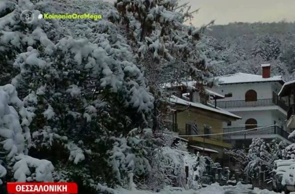 Θεσσαλονίκη: Μάρτης - γδάρτης με χιόνια στο Χορτιάτη (Βίντεο)