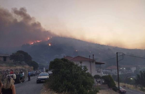 Μεσσηνία: Στάχτη 3.200 στρ. σε Ακριτοχώρι και Χρυσοκελλαριά - Κάηκαν 220 στρ. ελίες