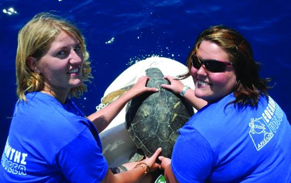 400 εθελοντές στο πρόγραμμα του "Αρχέλων" για την προστασία της θαλάσσιας χελώνας