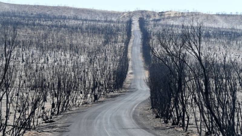 Αυστραλία: Τα απειλούμενα είδη επλήγησαν περισσότερο από τις πυρκαγιές