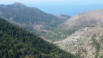 Ζόρια... για το Μηλέα - Παναγία Γιάτρισσα