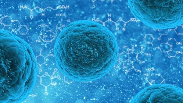 Έρευνα: Τυχαία ανακάλυψη ανοσοποιητικού κυττάρου μπορεί να οδηγήσει στη θεραπεία όλων των καρκίνων