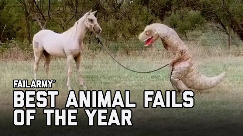 Τα κορυφαία fails με ζώα του 2020 (Βίντεο)